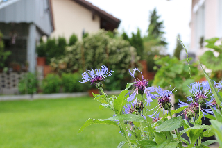 Ferienwohnung Wandl in Bad Griesbach i. Rottal