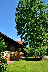 Pension St. Georg mit Restaurant Moststüberl in Bad Griesbach i. Rottal