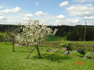 Pension Steiger in Bad Griesbach i. Rottal