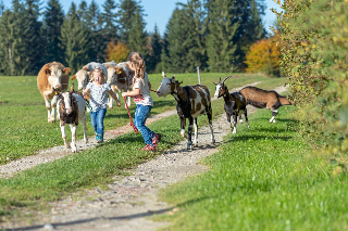 Ferienhof Weishäupl in Untergriesbach