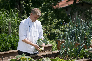 Pension Zum Ebenstein am Donausteig in Untergriesbach