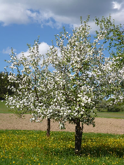 Ferienhof Naderhirn - Bauernhof in Wegscheid