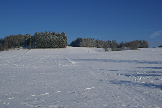 Ferienhof Naderhirn - Bauernhof in Wegscheid