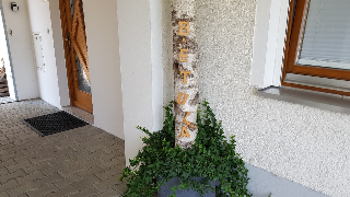 Ferienwohnung Betula in Fürstenstein