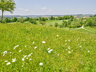 Gutshof Brunnwies in Haarbach