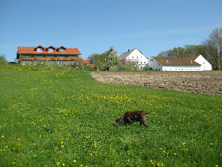 Ferienhof Rieger in Rotthalmünster