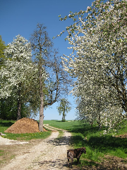 Ferienhof Rieger in Rotthalmünster