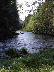 Seidl's Ilztalfewo in Witzmannsberg