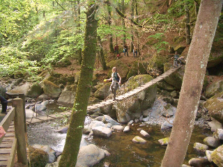 Seidl's Ilztalfewo in Witzmannsberg