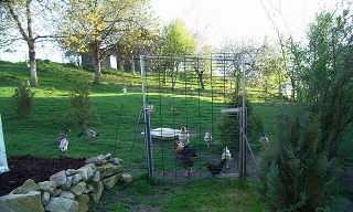 Naturfreundepension Hagenberger für Erwachsene in Witzmannsberg