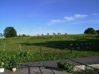 Naturfreundepension Hagenberger für Erwachsene in Witzmannsberg