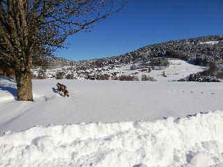 Ferienwohnungen Helga in Haibach-Elisabethszell