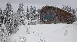 Falkenstein Schutzhaus in Lindberg