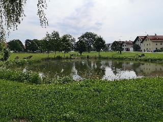 Gasthaus Zum Stausee in Grafenau