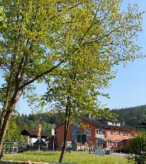 Hotel Hüttendorf 49 gradnord in Bayerisch Eisenstein