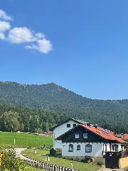 Ferienwohnung Hoamatgfühl in Lam