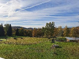 Waldhaus Flammersberger in Spiegelau