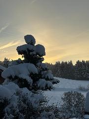 Ferienwohnungen Leithenwald in Zwiesel