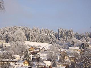 Ferienwohnung Dorfblick (Herzog) in Lindberg