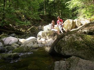  Landurlaub bei Familie Haug in Freyung