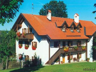 Haus Höhenrieder in Riedlhütte