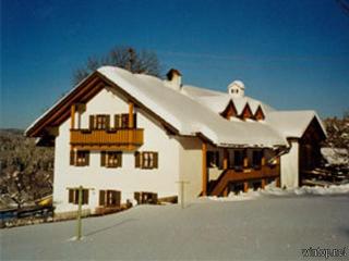 Haus Höhenrieder in Riedlhütte