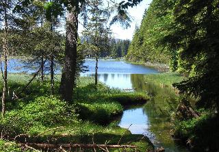 Fewo Keilhofer in Spiegelau