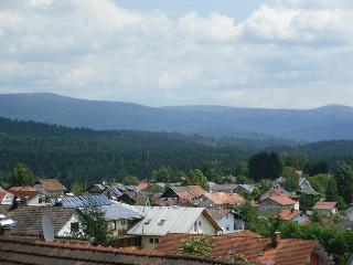 Ferienwohnung Nationalparkblick in Spiegelau