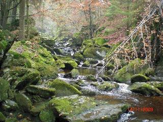 Fewo Keilhofer in Spiegelau