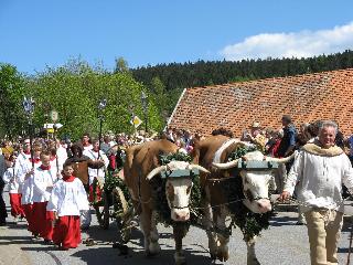 Landhaus am Anger in Sankt Englmar