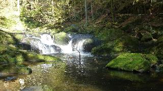 Ferienwohnung Fernblick in Freyung