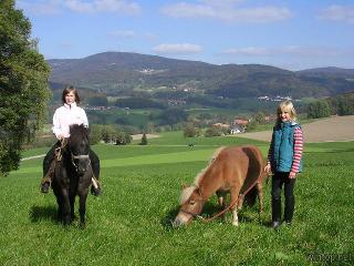 Ederhof in Schöllnach