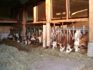 Ferienwohnung Garhammer in Spiegelau