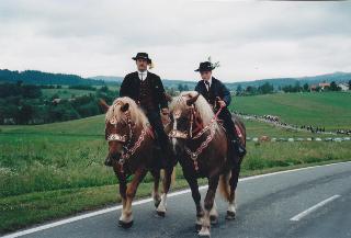 Ferienhof Kopp   in Drachselsried