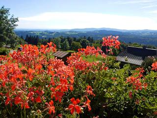 Pension Draxlerhof in Neuschönau