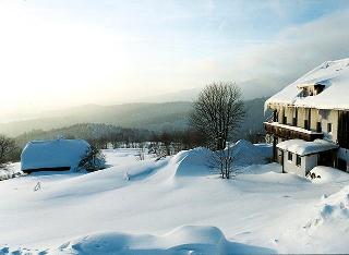 Pension Draxlerhof in Neuschönau