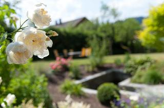 Ferienwohnungen Hittenpichl in Bodenmais