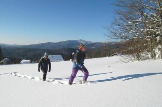 Schreinerhäusl in Neuschönau