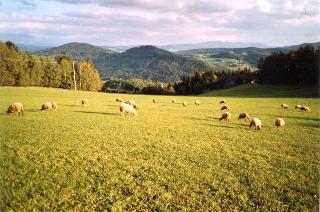 Ferienwohnung Preiß  in Viechtach