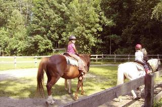 Kinderparadies + Bio-Bauernhof in Schönberg