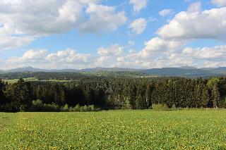 Einkehr zur Kleblmühle  in Grafenau