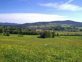 Wellness u.Wohlfühlhotel St. Gunther in Rinchnach