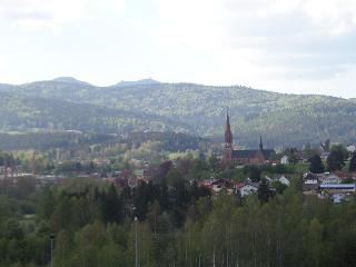 FW Lüsselfeld in Zwiesel