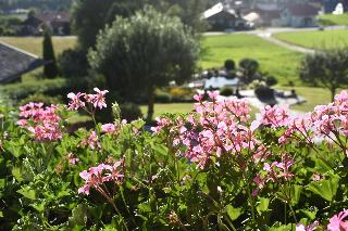 Ferienwohnungen Sunnwies in Bodenmais