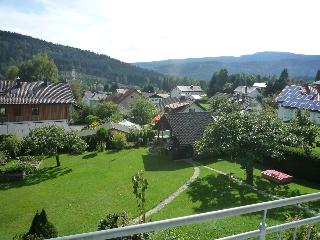 Haus Heigl in Bayerisch Eisenstein