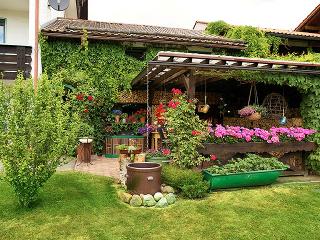 Ferienwohnungen Haus Carola in Bodenmais