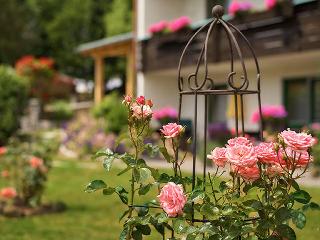 Ferienwohnungen Haus Carola in Bodenmais