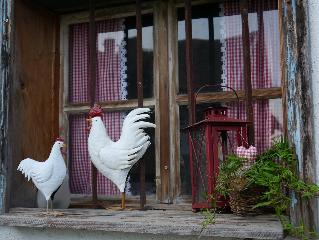 Ferienhof Kopp   in Drachselsried