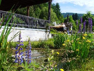 Ferienwohnungen Schönbachtal in Drachselsried