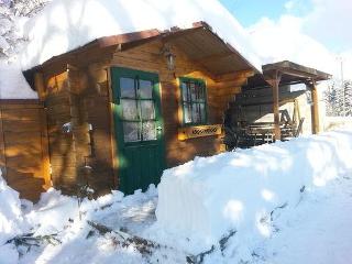 Ferienhaus Klingenbrunn in Spiegelau